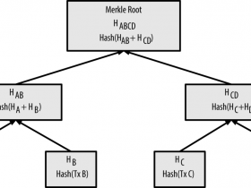精通比特币(65):区块中的Merkle树